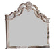 Sonia Contemporary Style Mirror in Beige finish Wood image